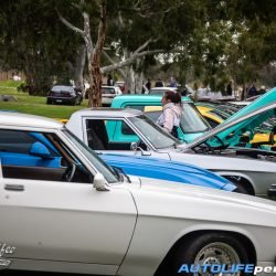 Photoset : Custom Cars and Coffee WA August 2024